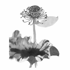 Hyojin Park single artwork